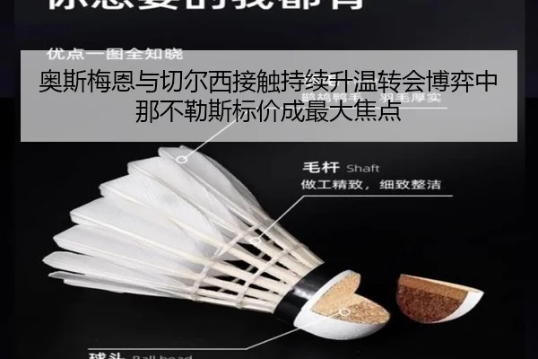 奥斯梅恩与切尔西接触持续升温转会博弈中那不勒斯标价成最大焦点