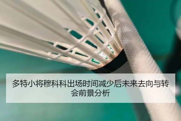 多特小将穆科科出场时间减少后未来去向与转会前景分析